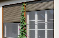 Ecomont - AMMANN Storenbau AG
