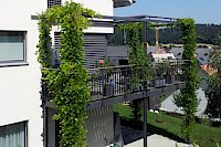 Gelungene Kombination von Stahlpergola mit Terrassenbeschattung (oben) in Neftenbac